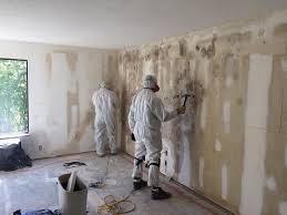 Why You Should Choose Our Mold Remediation Services in Algona, IA